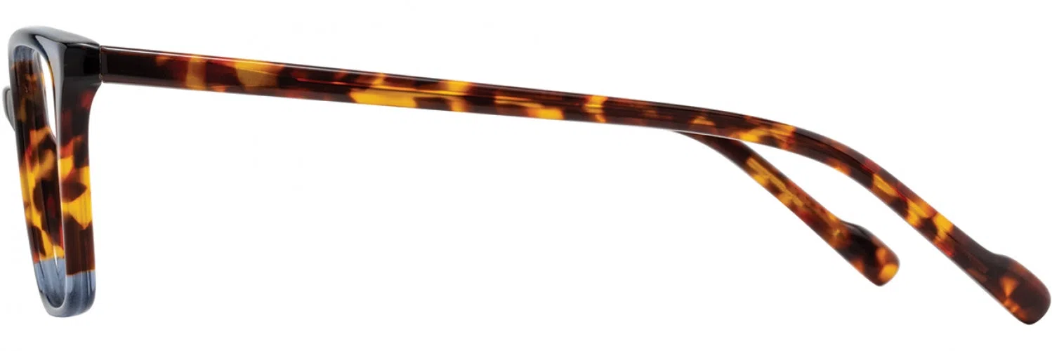 Scott Harris SH844 Eyeglasses - view 11